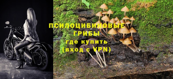 стафф Балахна