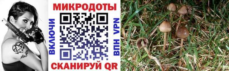 Галлюциногенные грибы MAGIC MUSHROOMS  хочу наркоту  мега онион  Кондрово 